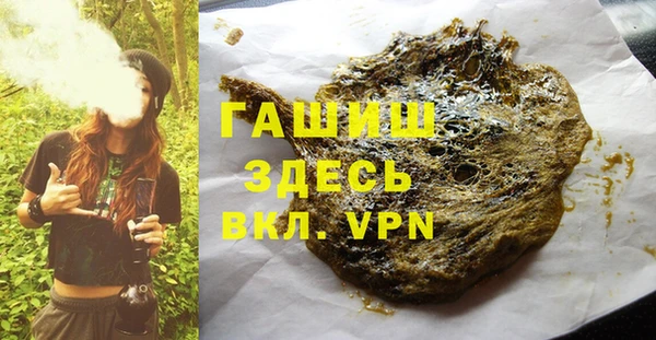 твердый Бородино