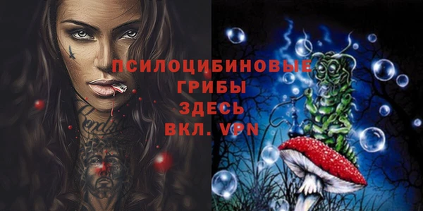 амф Нязепетровск