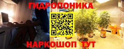 каннабис Кунгур