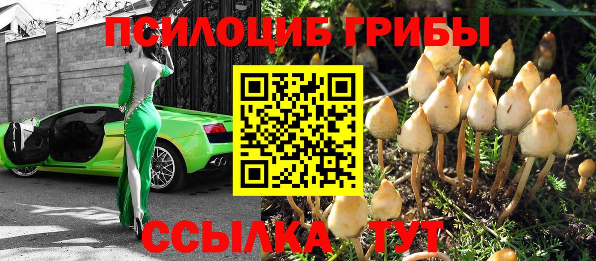 Строитель  Псилоцибиновые грибы ЛСД  Псилоцибиновые грибы Magic Shrooms  Вход с VPN 