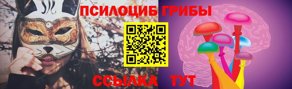 Галлюциногенные грибы Psilocybe Строитель